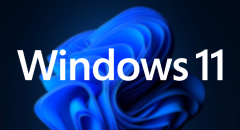 Sally Face for Windows 11